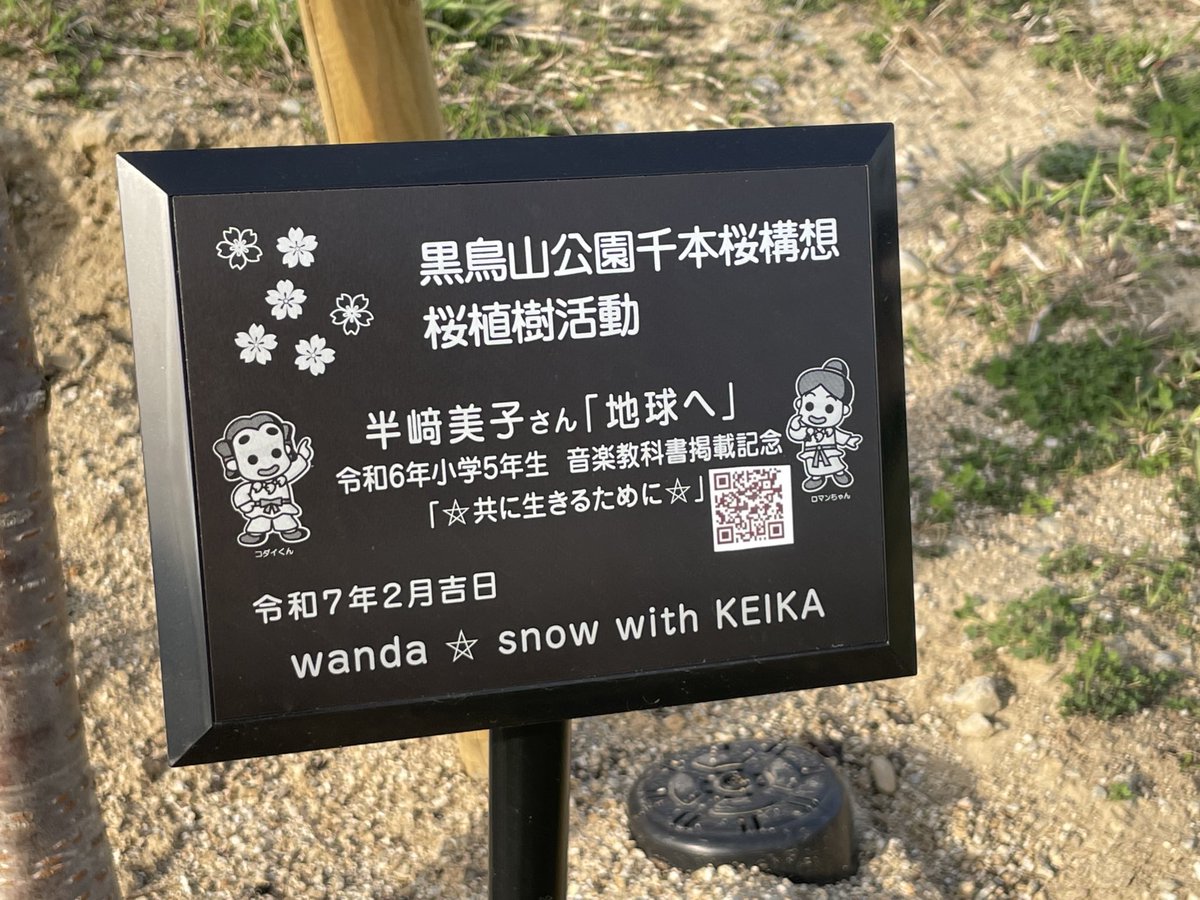 患者さんを看取り帰宅。外は眩しいほどの日差し。刻は何があっても置き去りのように進んでいく。
だけど言葉はなくとも励まされる命がここにある🌟
今週末には咲きそうな予感🌸
#地球へ #半﨑美子 さん　#シロタエ #花言葉　#善良な教育 #未来へのメッセージ　#はんざき畑　#感謝