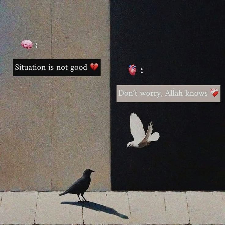• tweet media