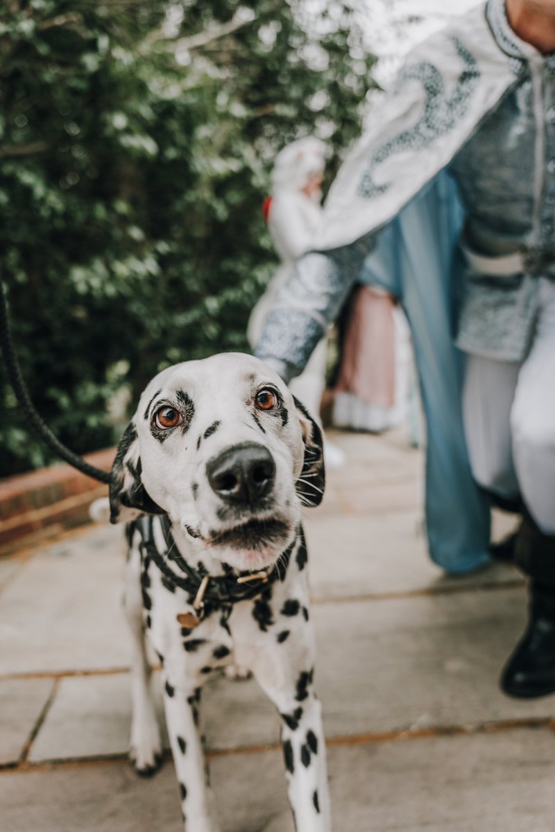 Samuel March tweet media