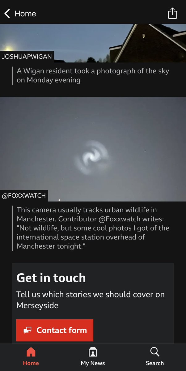 Manchester Wildlife Camera tweet media