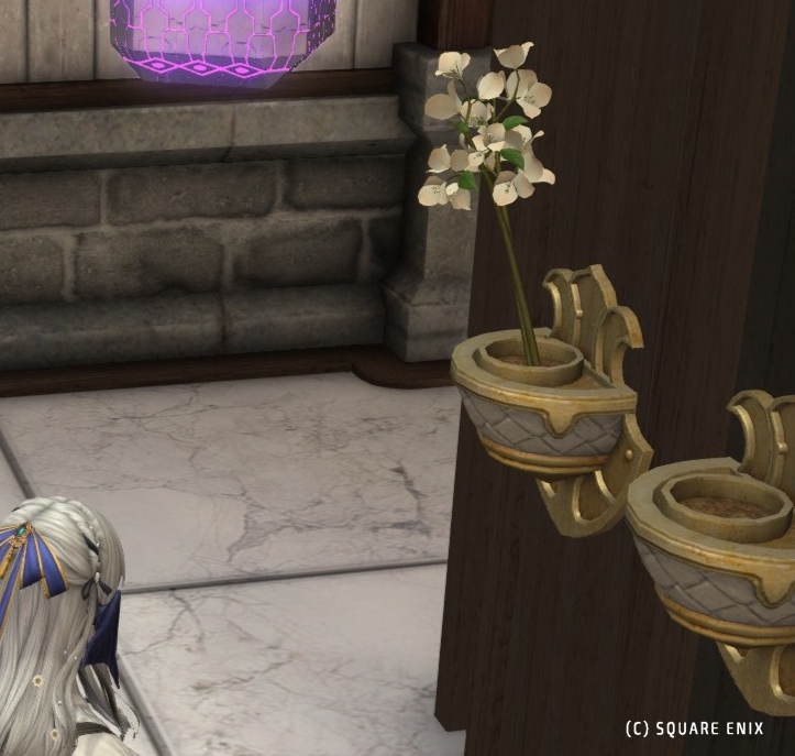 ペーパーフラワー丁度レアカラー咲いてた
花瓶に挿したら思ったよりもシンプル
壁掛けの方はちょっと手前に出てる
ブーゲンビリアってぶわっと咲いてるイメージだったので花瓶の方もボリュームが欲しかったな
あと定番の濃いピンクカラーはないのかな…