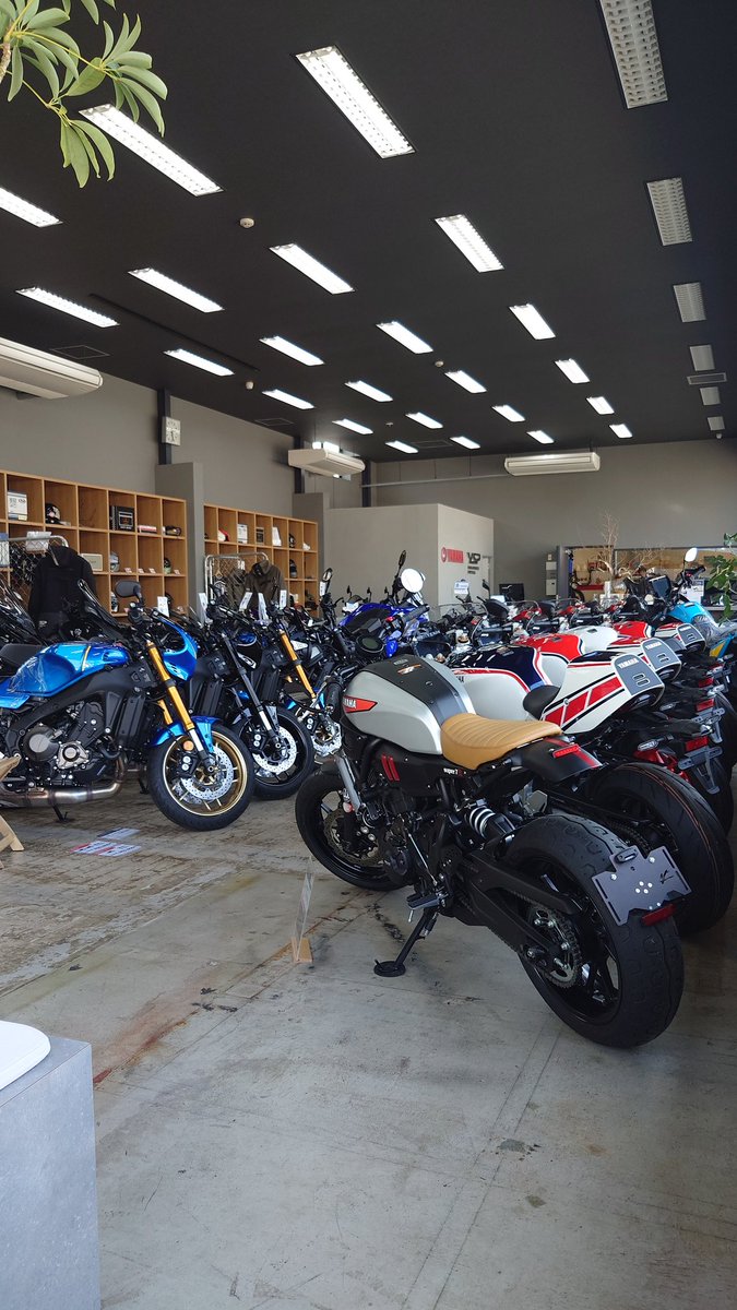 お金はないけど時間があったので
オイル交換をしてきました😀
久しぶりにヘルメットをかぶったら
あごひもを締めるのにマイクの線を
切ってしまった❗（泣）
ETCも調子が悪い😢
どうしましょう？🤔