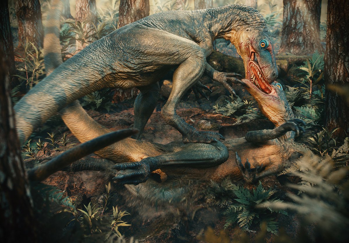 Happy to share my second paper of the year: 

Craniofacial lesions in the earliest predatory dinosaurs indicate intraspecific agonistic behaviour at the dawn of the dinosaur era

link.springer.com/article/10.100…

Art by <a href="/paleo_caio/">Caio_Fantini</a>
