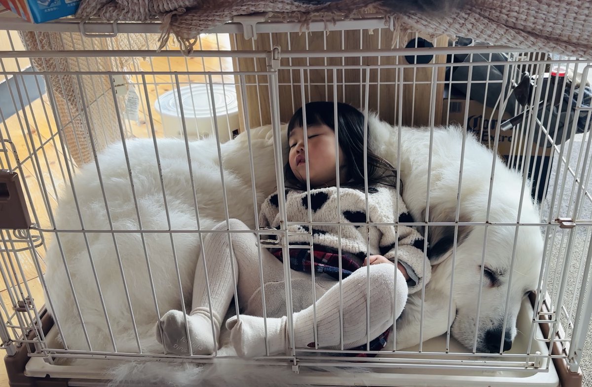 閉じ込めたのではない・・・

自ら閉じこもってしまったのです😆