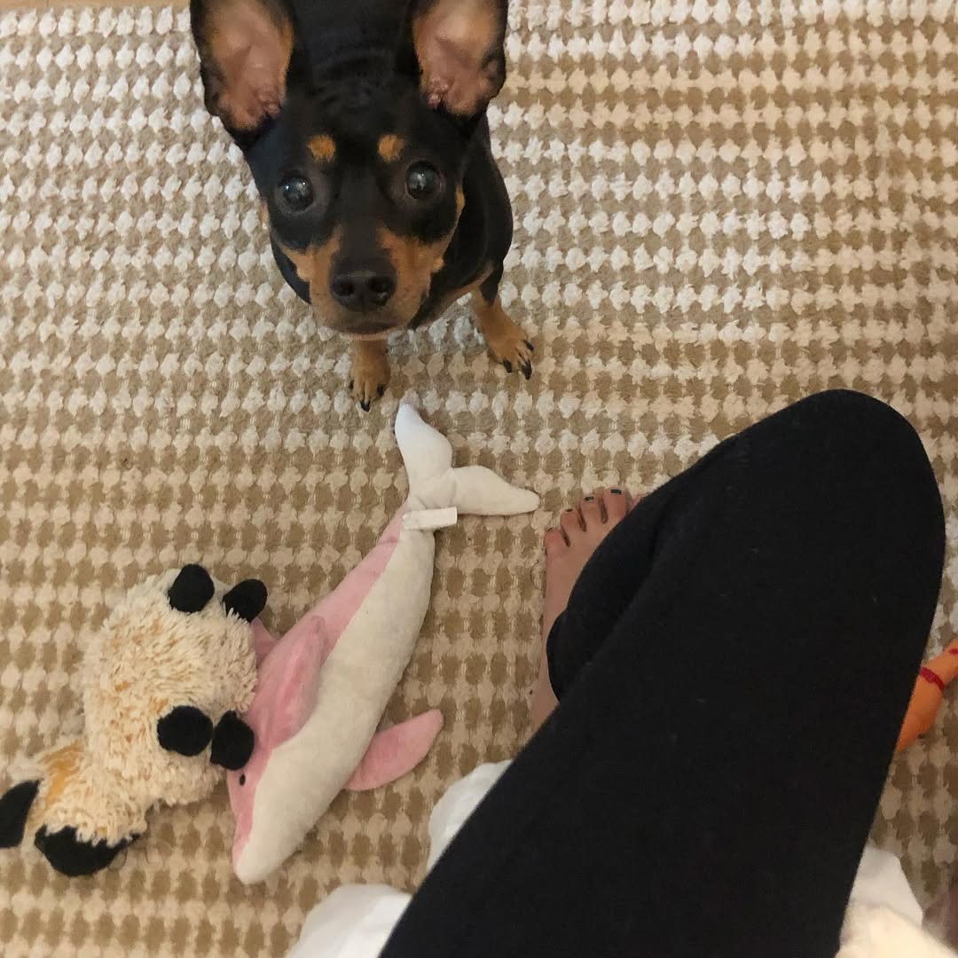 Brave little heart ❤️🐶, you face the world with so much courage! I couldn’t ask for a better sidekick! 🦸‍♂️🐕