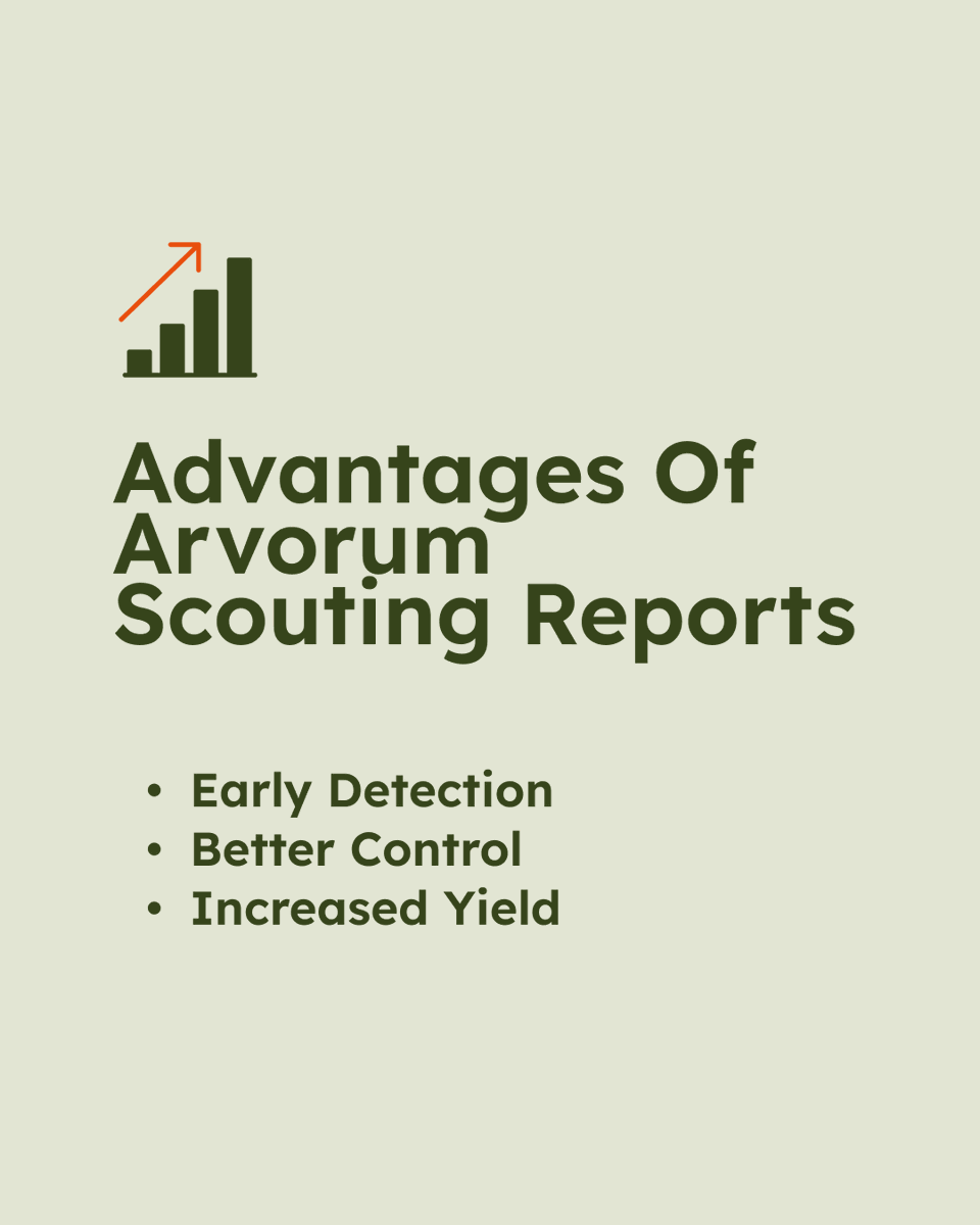 Arvorum UK tweet media