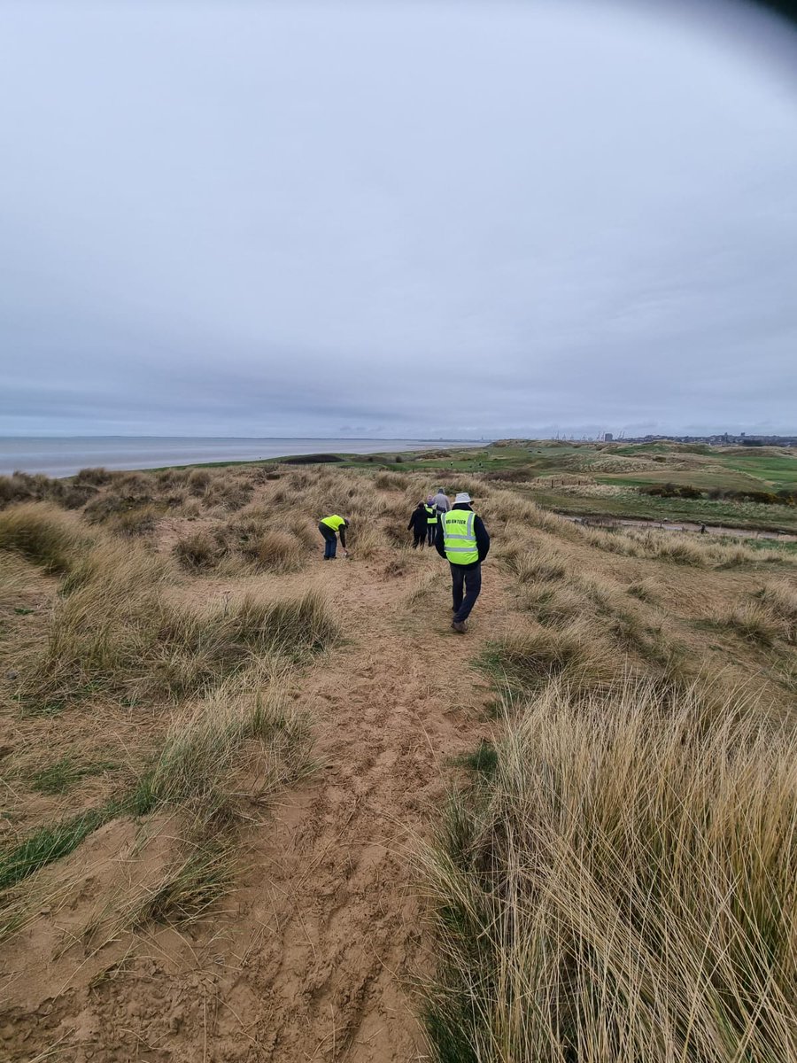 This week's task saw us meeting to discuss and walk the new Butterfly transect on the dunes, to monitor Grayling.  Graylings are in decline in other North Western coastal areas, so we are excited that the species is present here in North Wirral!