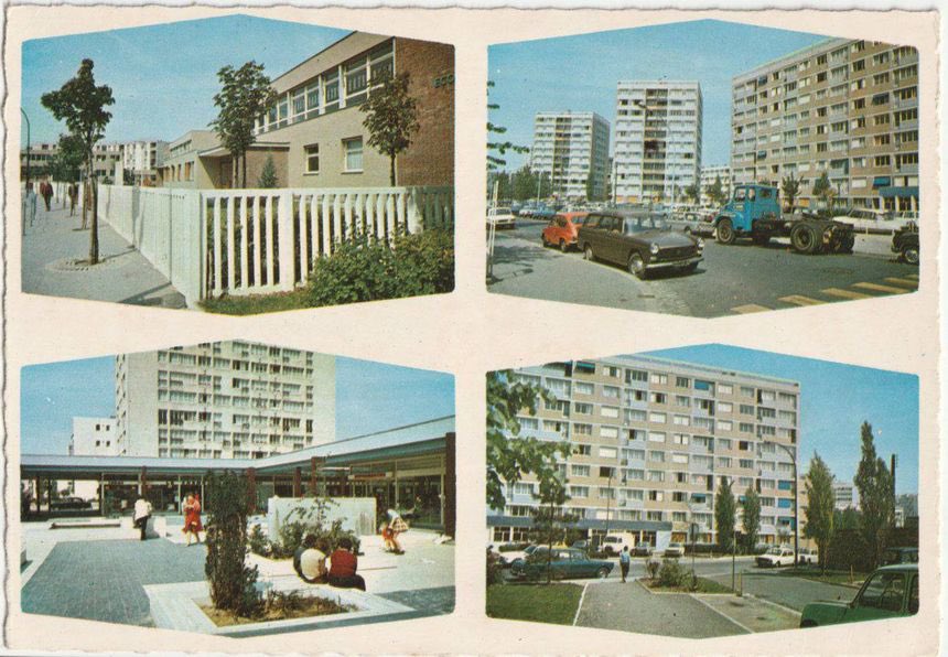 ℂ𝕠𝕞𝕞𝕒𝕟𝕕𝕖𝕣𝕋𝕠𝕣𝕖𝕟𝕟 ✨ tweet media