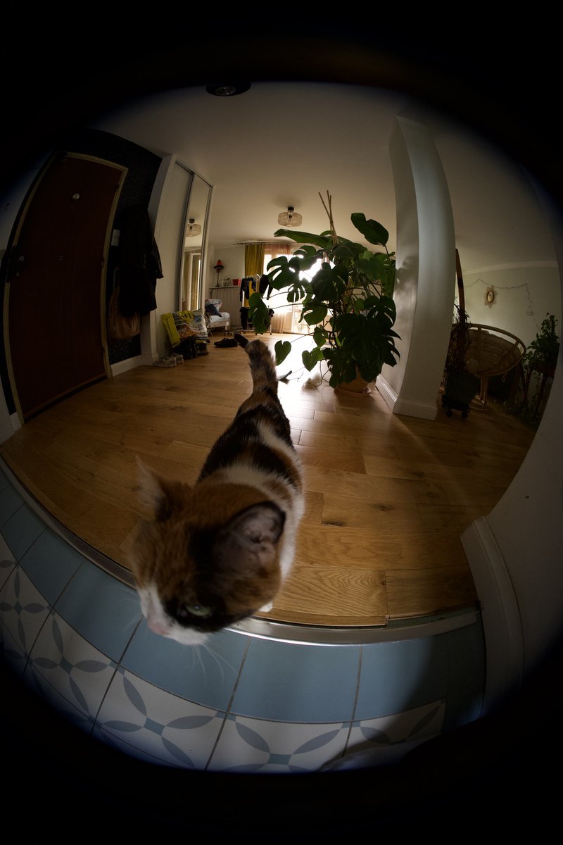 J’ai acheté un fish-eye, y’a des gens sur Lyon chaud pour un shoot??  (petit budget promis mais j’ai besoin de l’amortir)
J’ai trop envie de le tester correctement là