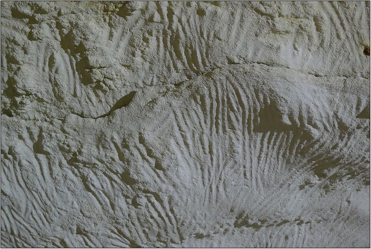 These are digital tracings on a cave wall, an Indigenous Australian art form. Unlike other Australian art, they do not rely on motifs and figures to visually symbolise a traditional story, rendering them silent without a narrator. #WednesdayWisdom

🆓 doi.org/10.15184/aqy.2…