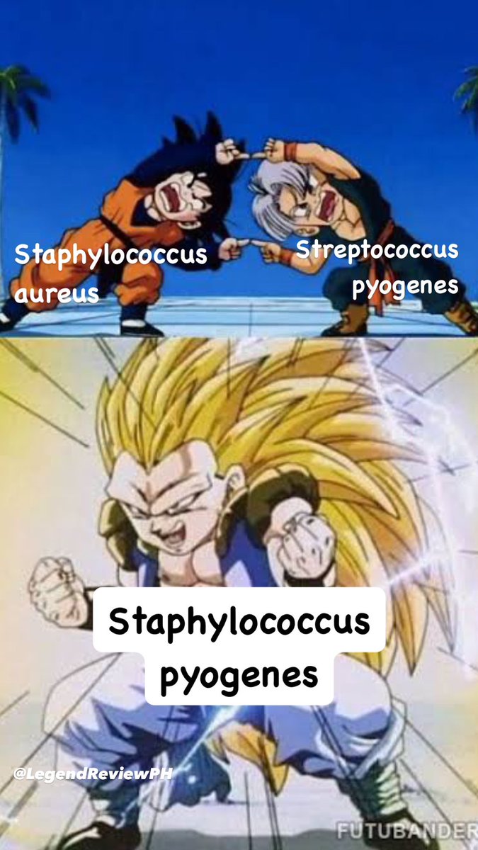 Syempre may time tayo palagi para mag-ambag ng board exam meme 😂😂😂

MTLE takers lang makakarelate dito 😂😂😂