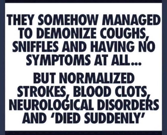 DrWojakMD's tweet image. 