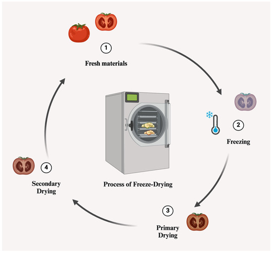 Applsci's tweet photo. 🔥 Read our Review Paper  
📚 The Impact of Freeze Drying on Bioactivity and Physical Properties of Food Products
🔗 https://t.co/qNmuSLvjkL
👨‍🔬 by Nurten Coşkun et al.   
#freezedrying #physicalproperty https://t.co/wGOGIQyRjJ