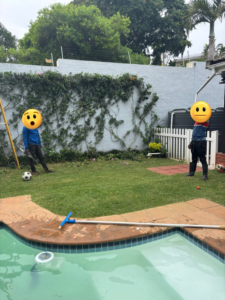 Sheena Kretzmer (@shebeegee) on Twitter photo I cried when I got home and saw that the garden service had cut down my beautiful bougainvillea creeper, how you? I cried when I got home and saw that the garden service had cut down my beautiful bougainvillea creeper, how you?