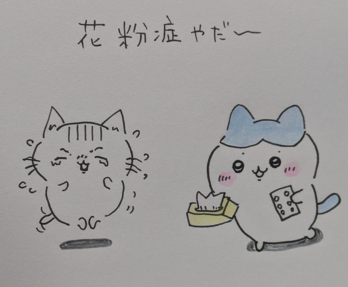 maruke_2023's tweet photo. 花粉症辛いです
あたちネコ&amp;ハチワレ(ちいかわ風)

＃イラスト
＃花粉症
#ちいかわファンアート
#イラスト好きさんと繋がりたい https://t.co/eUNb80Nu16