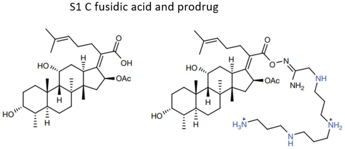 Antibiotic crisis: Science advances, but funding stalls!  Despite breakthroughs in antibiotic research, financial hurdles keep new drugs from reaching the market. Brüssow’s contribution has been the most accessed article last February! doi.org/10.1111/1751-7…
