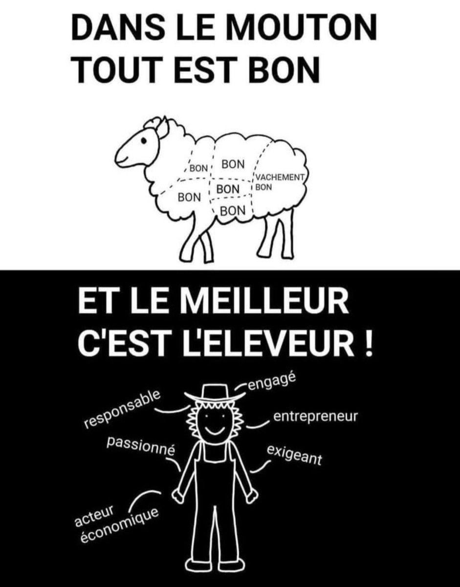Charles Pillet 🐑 tweet media