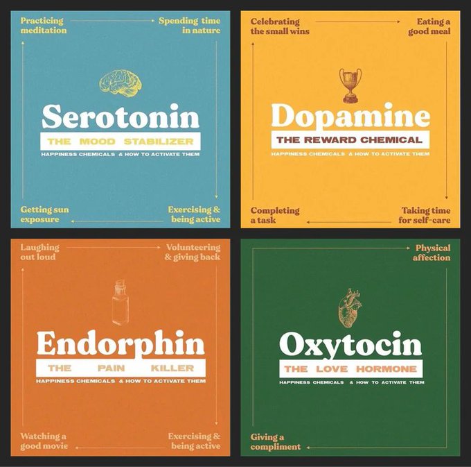 The 'happiness hormones' and how to activate them