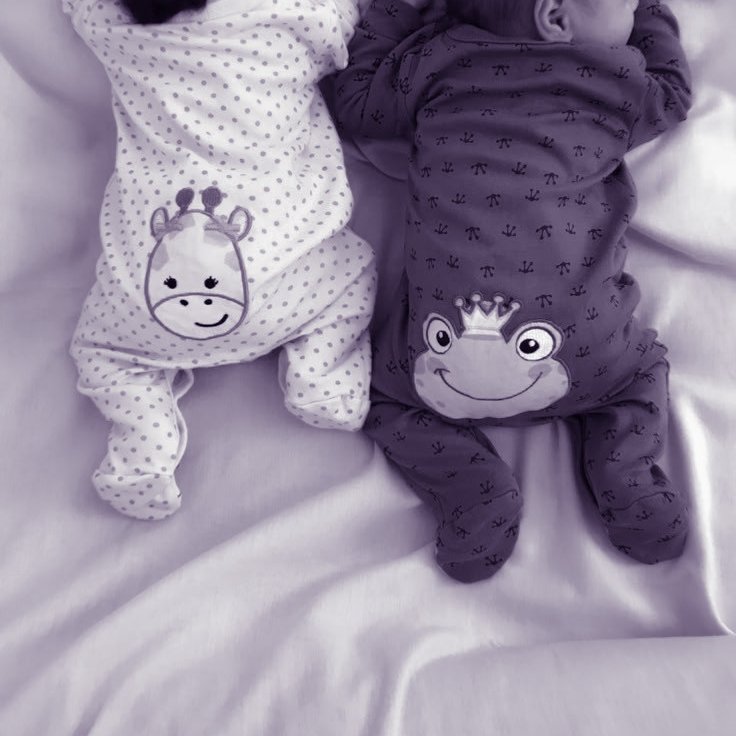 iam_demonboy's tweet photo. ᅟ
ᅟᅟᅟᅟᅟ─────┈ ‘ ⚚

Bom dia! Começando o dia por aqui já nos cuidados com meus bebês! Deixando os mais velhos na escola e enchendo os mais novos de carinho, porque acordaram bem dengosos hoje. E confesso, queria ficar dormindo o dia inteiro assim como eles. https://t.co/TAQlpgoXuT