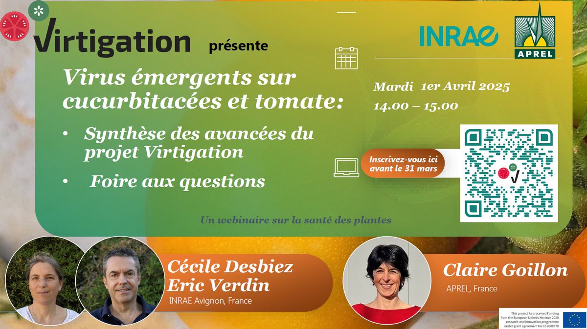 Nouveau webinaire 🇫🇷 organisé par #VIRTIGATION! Le 1er avril de 14:00-15:00, rejoignez nos partenaires <a href="/INRAE_PV/">INRAE Pathologie végétale</a> &amp; APREL afin d'obtenir une synthèse des avancées de notre project. Inscrivez-vous jusqu'au 31 mars sur ce lien: docs.google.com/forms/d/e/1FAI… #FinancéParUE #Horizon2020
