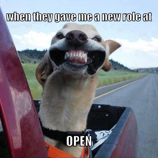 0xChicka's tweet photo. yes that's my happy face in @webisopen
#meme #web3 #dogmem https://t.co/WUNXZZeaG2