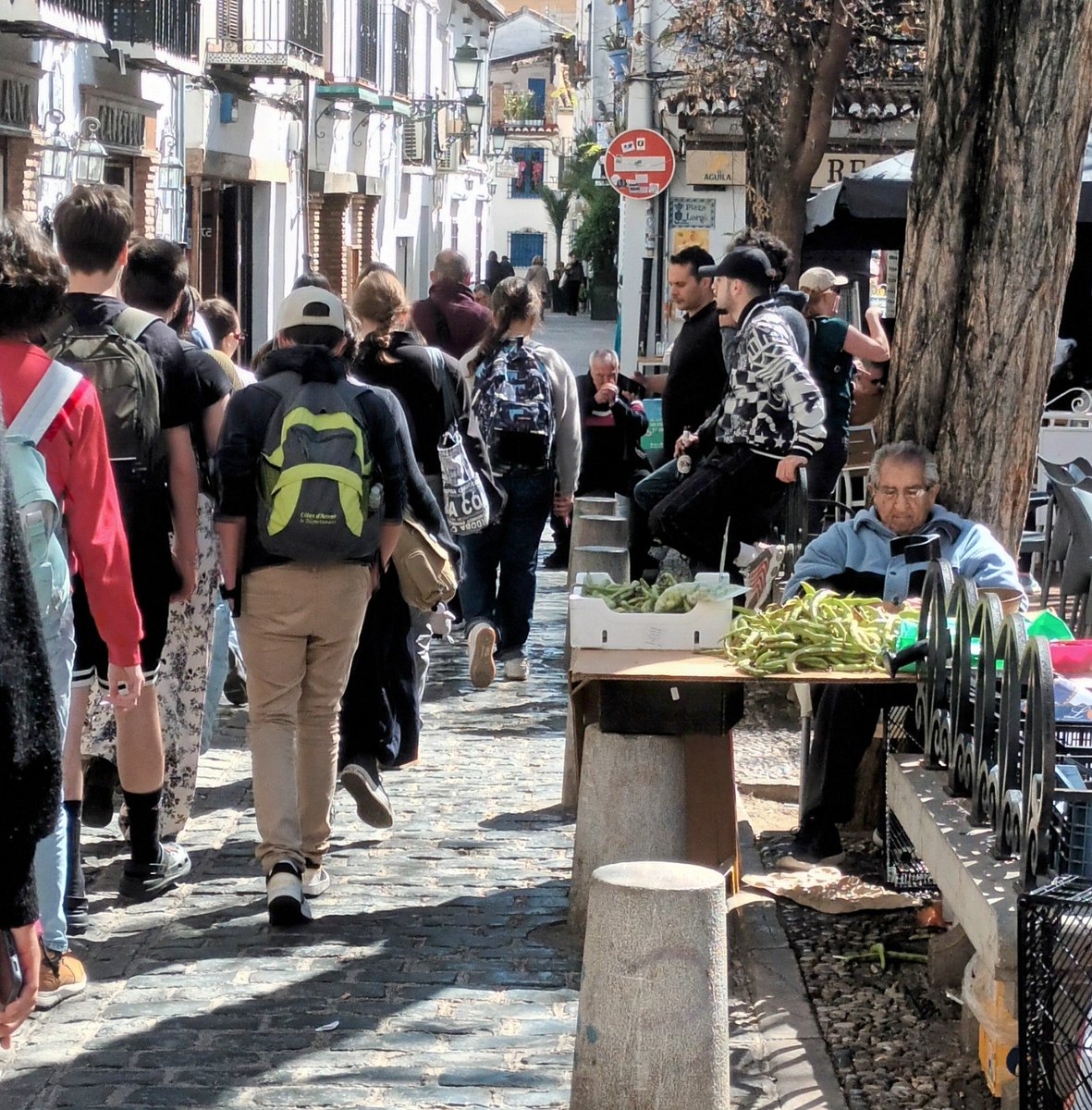 Ya es temporada de habas 

y de viajes de estudios