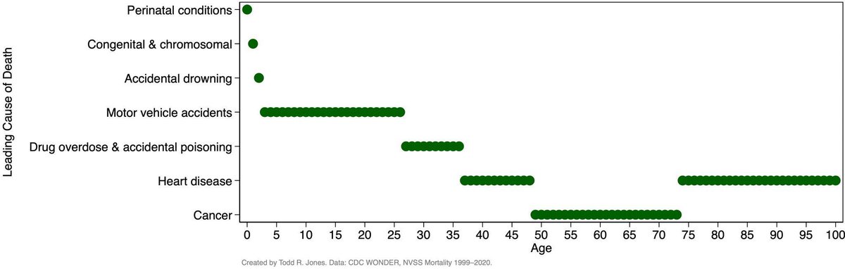 Simple but impactful chart shows the leading cause of death throughout the lifecycle.