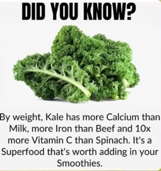 YourRoots1776's tweet image. A great veggie to disguise for the kiddos 😊
#kale #Wednesday #smoothies #Health