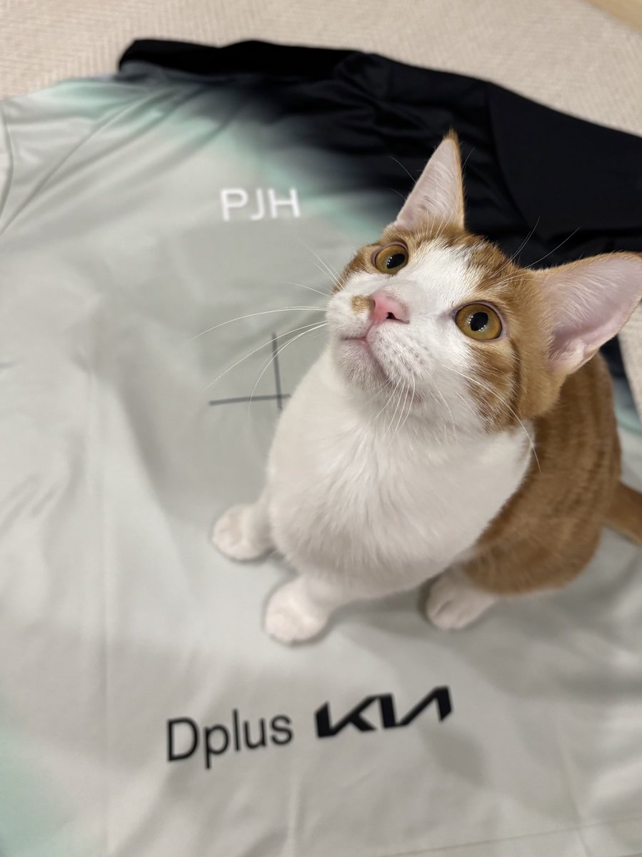 pluto_0h's tweet image. 