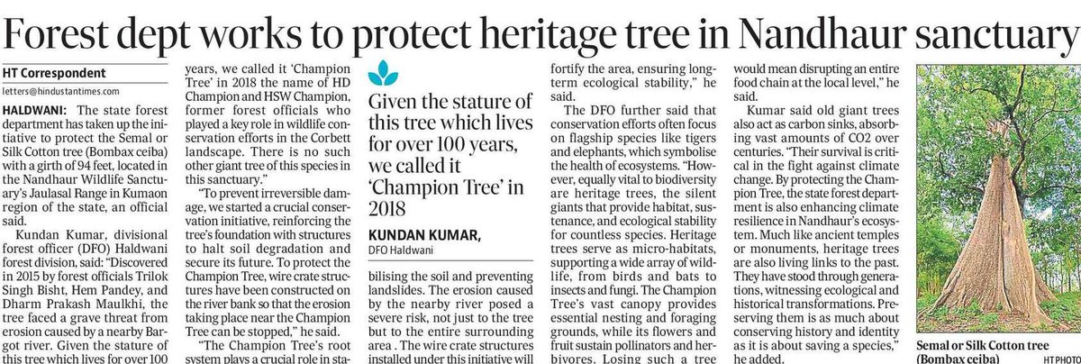 kundan_ifs's tweet image. A 94-feet girth Semal tree in Nandhaur Wildlife Sanctuary is being conserved to prevent erosion damage. Heritage trees are vital for biodiversity, climate resilience &amp;amp; ecosystem balance. Preserving them is preserving our future! 🌿🌎

#ChampionTree #ForestConservation
#Nandhaur