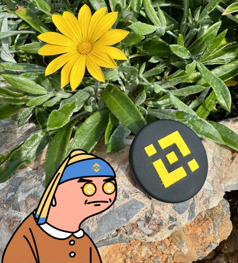 bnb_star's tweet photo. 🌼 Touched grass.Saw @binance. https://t.co/XsQ5NG1toE