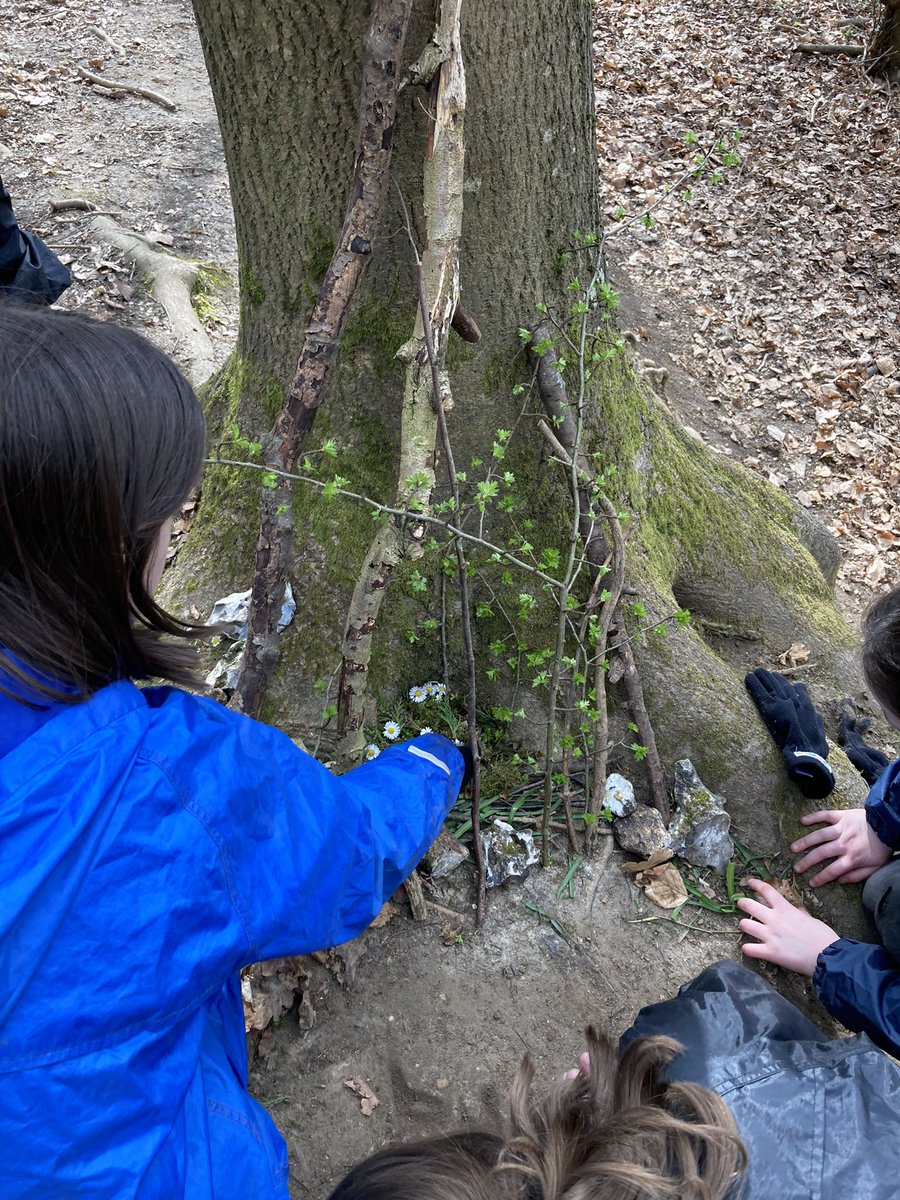 PipersForestSch's tweet image. Year 4 have made some fantastic nests today! 🪺#pipersprep #birdnests #outdoorlearning