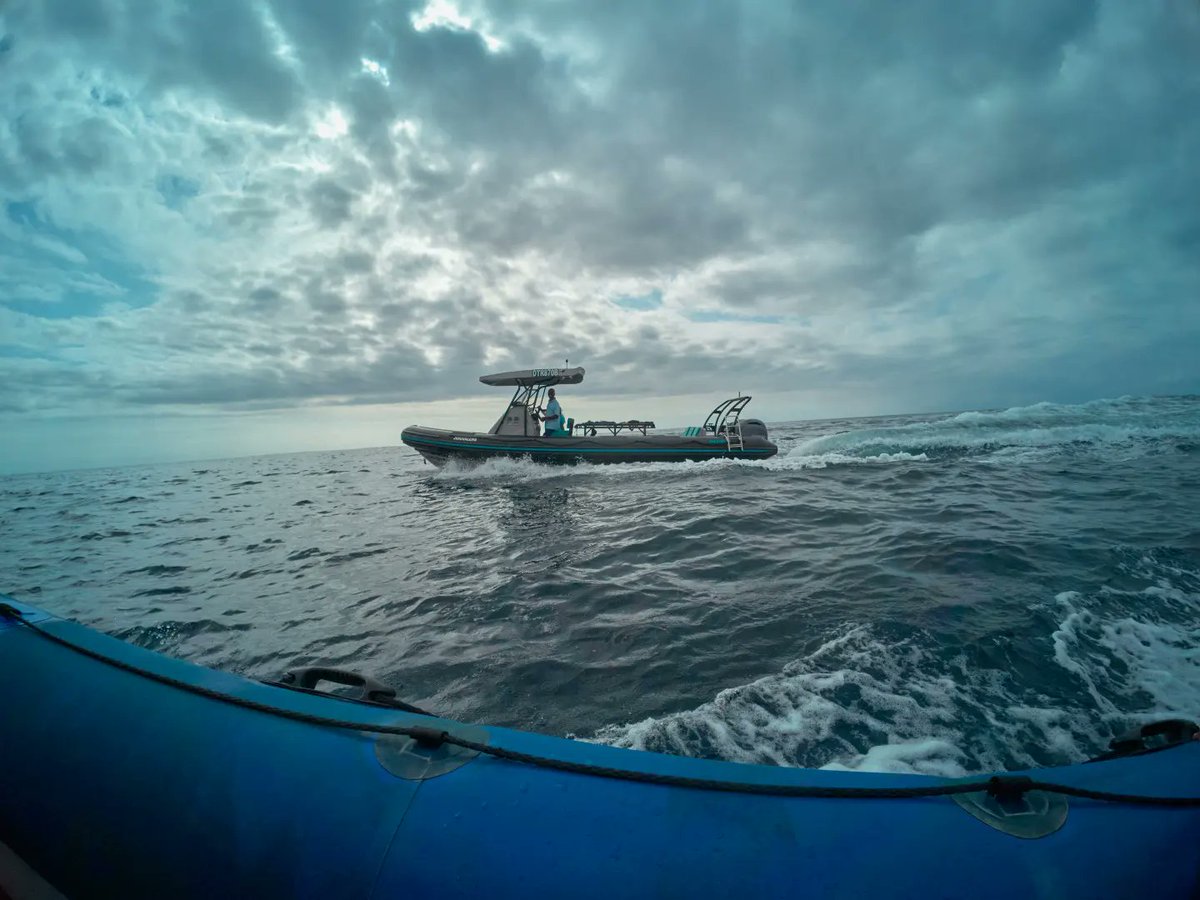FilmInKZN's tweet image. This morning, we joined the SABC and the @expressoshow teams in the breathtaking waters of Sodwana Bay—where the ocean becomes a classroom! 🐠🤿  

Through Dive Labs, @newfcommunity is unlocking the blue economy for Africa 🌊

#KZNFilm #NEWF #Diving