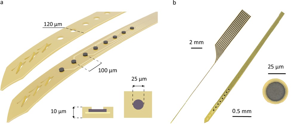 Wykes_Lab (@labwykes) on Twitter photo Congrats to Nicola, Ahmed & all involved on our <a href="/NatureComms/">Nature Communications</a> paper! It highlights graphene-based stimulating electrodes for precise sensing & neuromodulation. <a href="/icn2nano/">Catalan Institute of Nanoscience & Nanotechnology</a> <a href="/imb_cnm/">IMB-CNM-CSIC</a> <a href="/CntmMcr/">Centre for Nanotechnology in Medicine (CNTM)</a> <a href="/GJBrainResearch/">GJBrainResearch</a> <a href="/DNS_UOM/">Division of Neuroscience</a> <a href="/UCLIoN/">UCL Queen Square Institute of Neurology</a> <a href="/EpilepsyInst/">Epilepsy Research Institute</a> rdcu.be/eeZHP Congrats to Nicola, Ahmed & all involved on our <a href="/NatureComms/">Nature Communications</a> paper! It highlights graphene-based stimulating electrodes for precise sensing & neuromodulation. <a href="/icn2nano/">Catalan Institute of Nanoscience & Nanotechnology</a> <a href="/imb_cnm/">IMB-CNM-CSIC</a> <a href="/CntmMcr/">Centre for Nanotechnology in Medicine (CNTM)</a> <a href="/GJBrainResearch/">GJBrainResearch</a> <a href="/DNS_UOM/">Division of Neuroscience</a> <a href="/UCLIoN/">UCL Queen Square Institute of Neurology</a> <a href="/EpilepsyInst/">Epilepsy Research Institute</a> rdcu.be/eeZHP