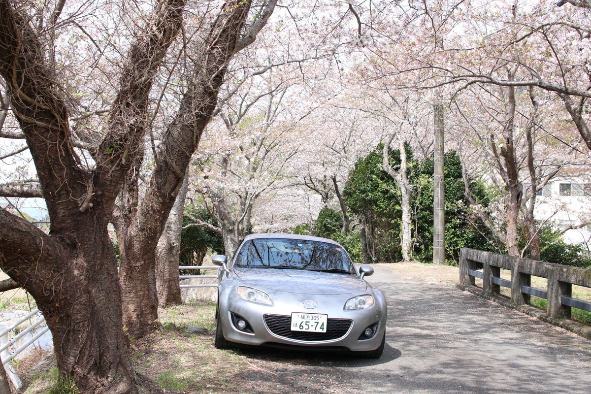 Mer_BDR's tweet image. 気がつけば4台目のロードスター、3台目のNCを買ってしまった