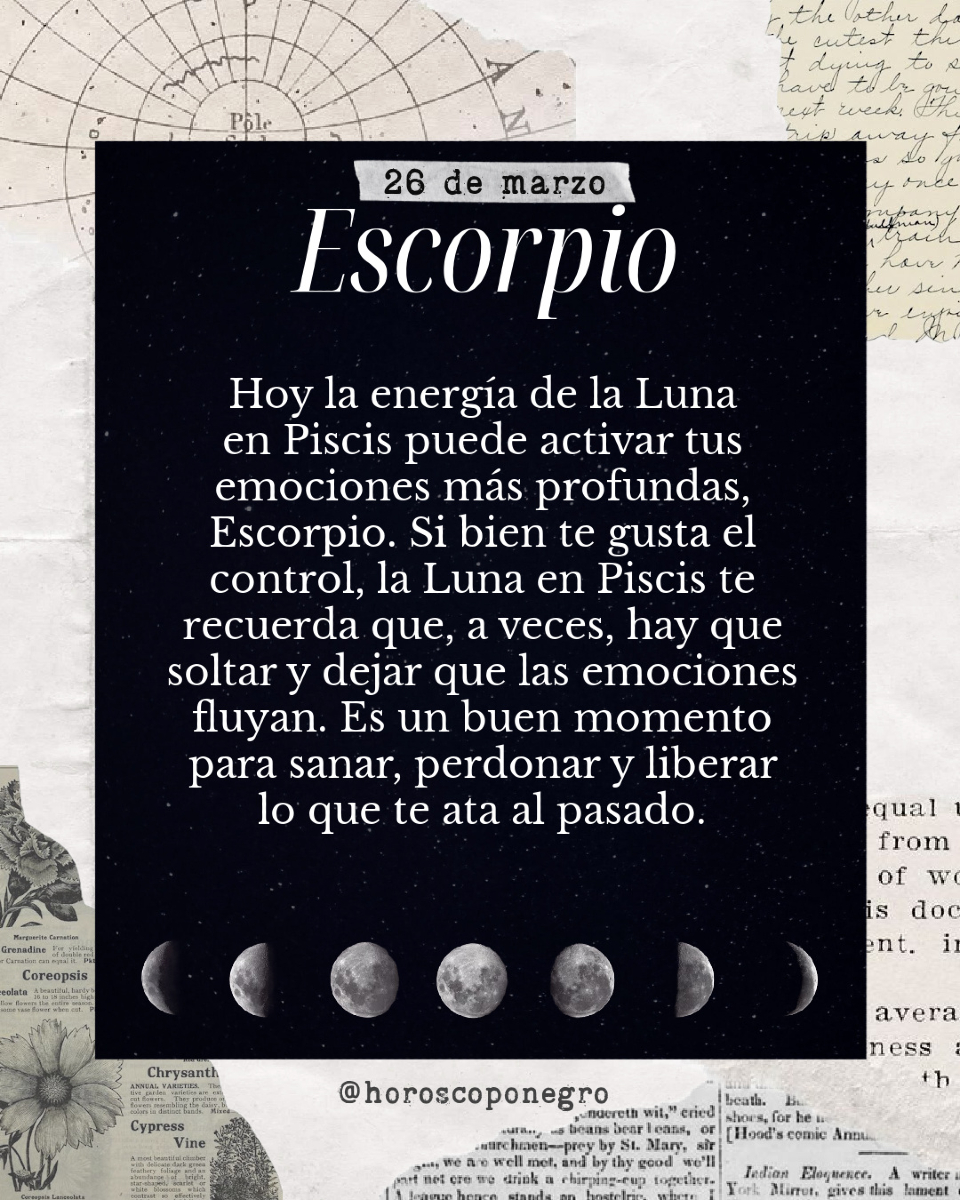 escorpio_hn's tweet photo. ✨♏ ✨ https://t.co/Mdbem8lYJZ