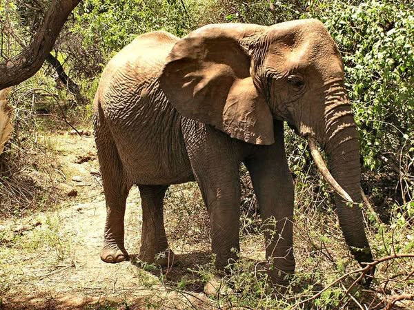 Have you ever looked for an English Educational Website that combines Knowledge with Photos, Facts and Worksheets? - Now there is one - emkaycollection.co.uk - including, Wildlife / Scenery / Art / Educational Downloads. emkaycollection.co.uk/index.php?rout…
&amp;  emkaycollection.co.uk/index.php?rout…  👋