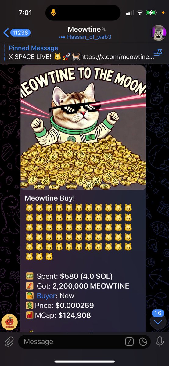 Meowtine tweet media