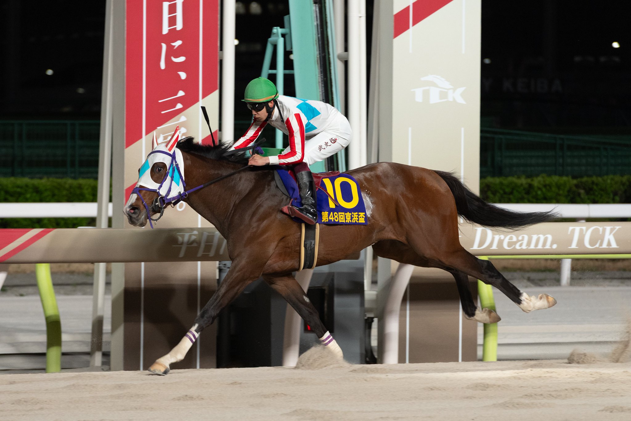 東京シティ競馬 (TCK) on X: 