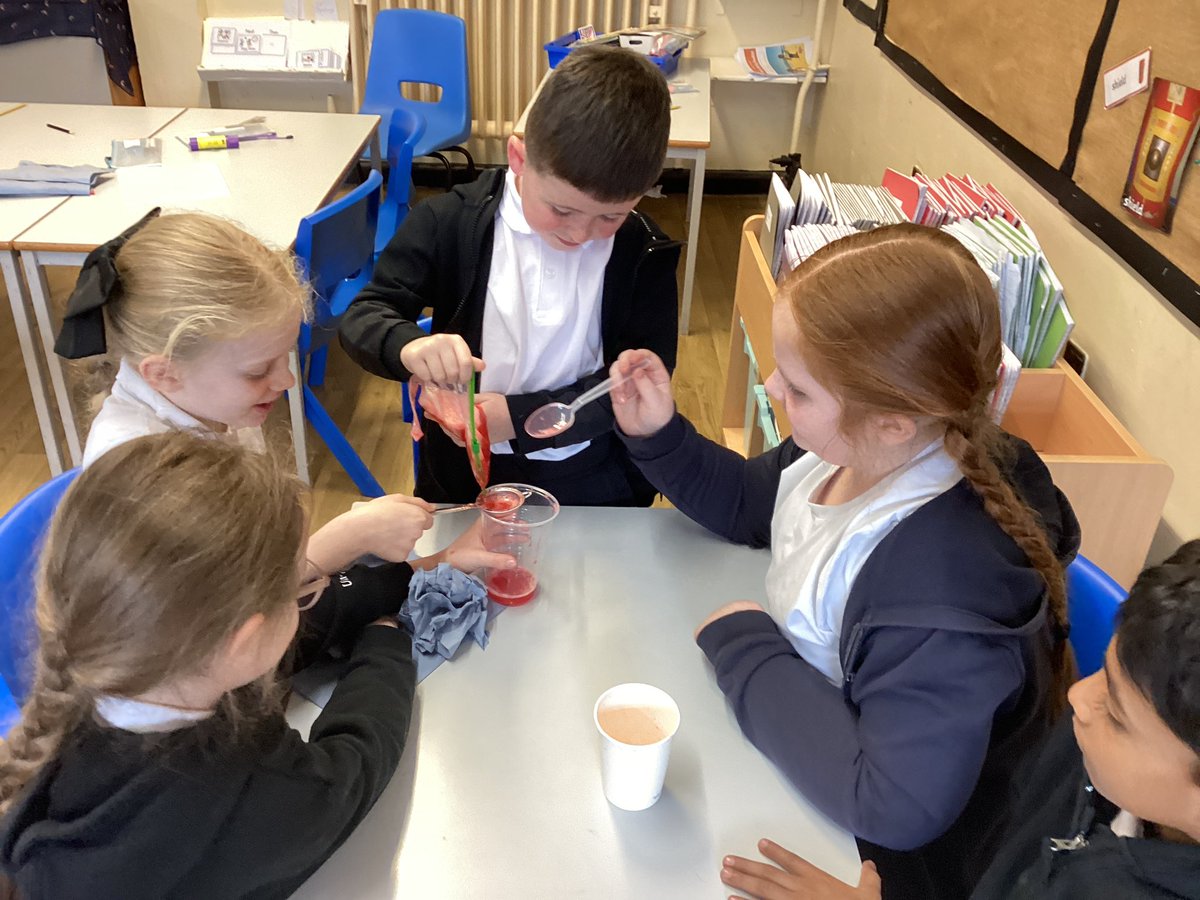 Year3STP's tweet photo. Finally, we used an extraction liquid made of water, easing up liquid and salt and some hand sanitiser to extract DNA from strawberries and see what it looks like to the naked eye. We are now DNA experts! @ScienceWeekUK #ScienceatSTP https://t.co/kHRPRZMLU7