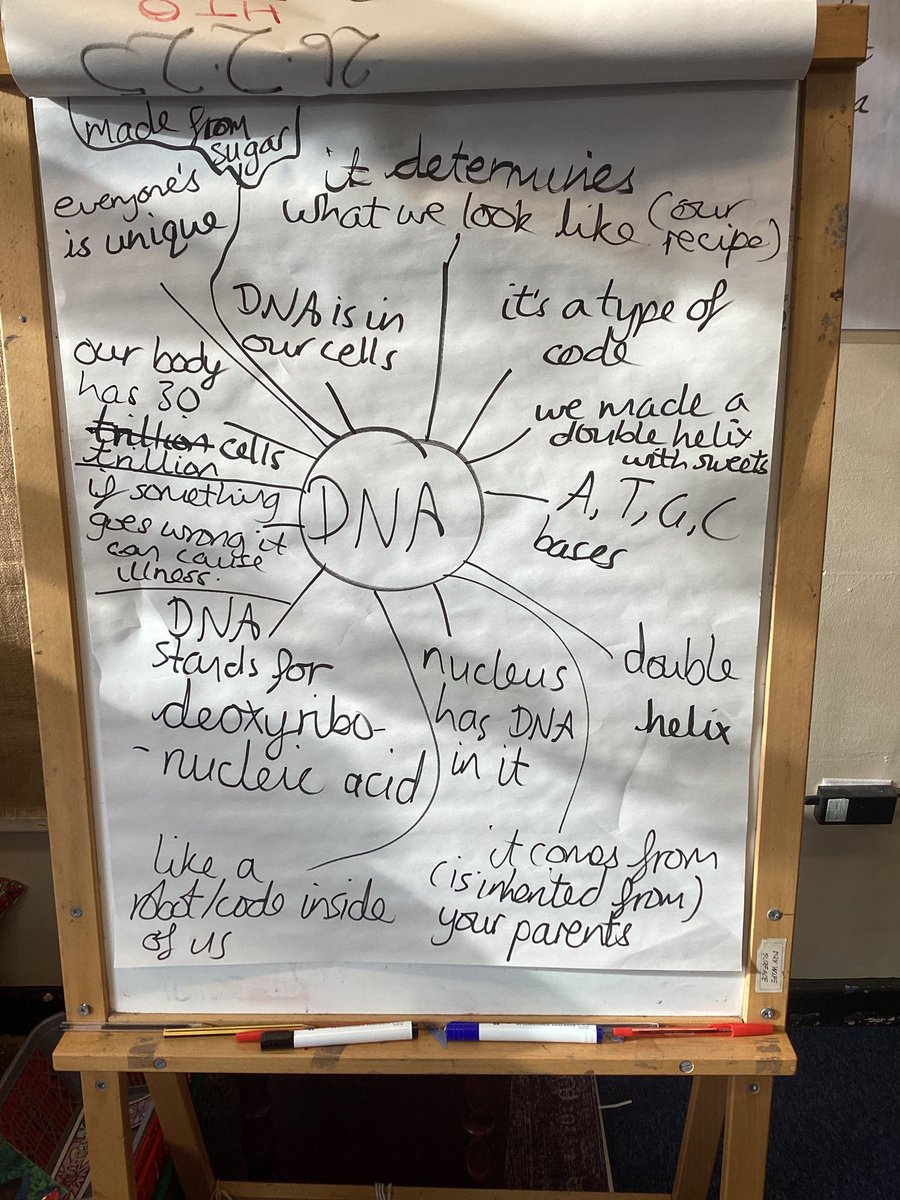 Year3STP's tweet photo. Finally, we used an extraction liquid made of water, easing up liquid and salt and some hand sanitiser to extract DNA from strawberries and see what it looks like to the naked eye. We are now DNA experts! @ScienceWeekUK #ScienceatSTP https://t.co/kHRPRZMLU7