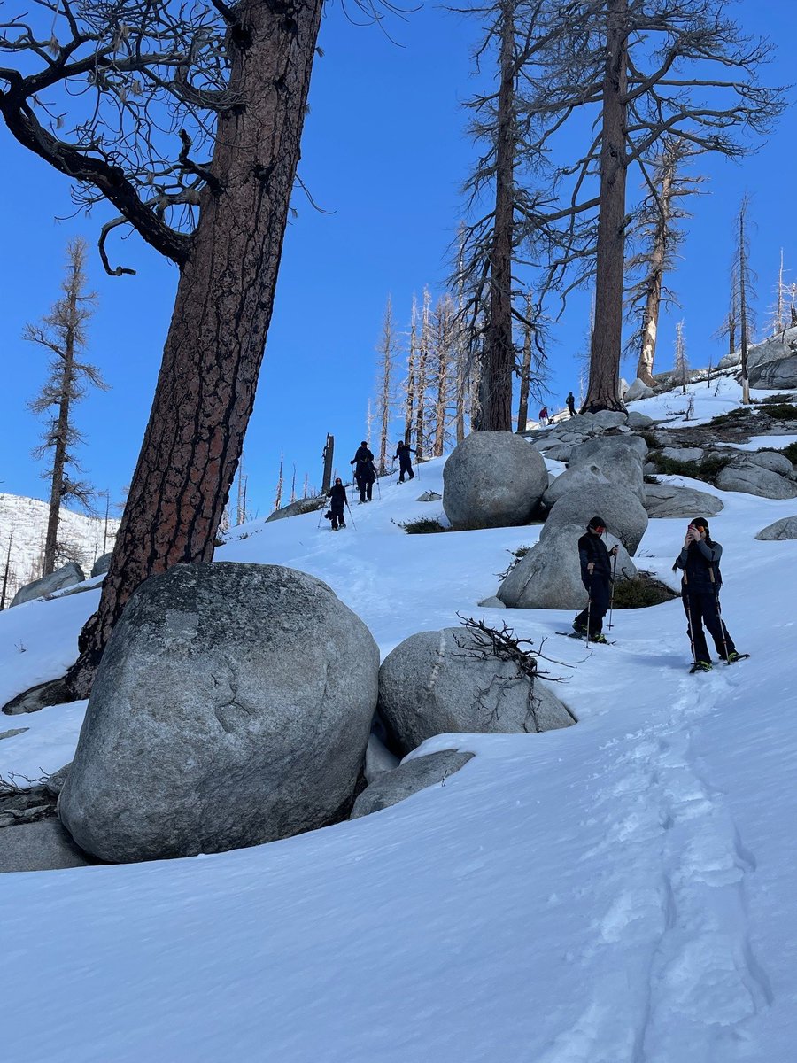 SAVA_Charter's tweet image. Snow way we’d miss this adventure! ❄️🏔️ HFR 250 students took on the Sierra with snowshoes and epic views earlier this week. Who’s ready for the next trek? ⛄️👣 #SnowMuchFun #HFR250 #SavaCharter #LoveTeachGuide #GCCCharters @sava_fit_n_rec