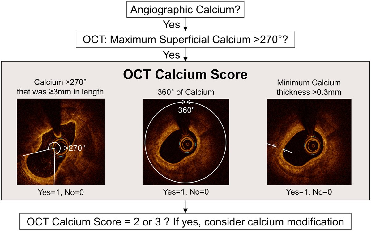 🔬 New in #JACCINT! A revised #OCT-derived calcium score predicts stent underexpansion in severely calcified lesions 🫀💡. This reliable tool helps identify at-risk lesions, improving stent deployment outcomes 📊

Read more 👉  jacc.org/doi/10.1016/j.…