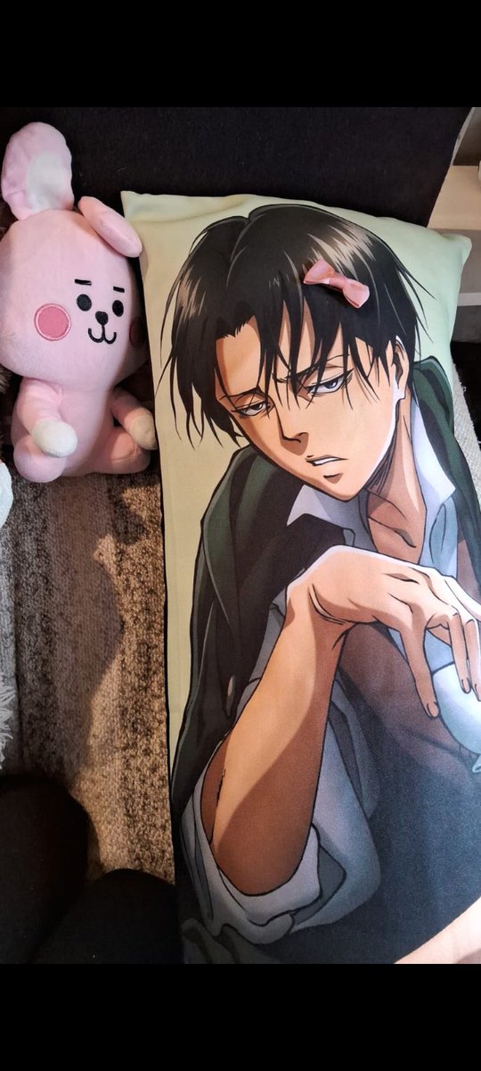 My wife gave Levi princess treatment while I was at work 😌🎀