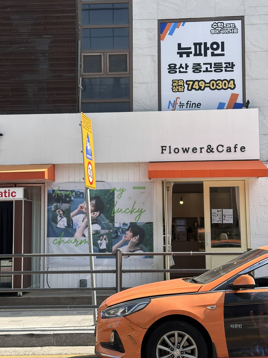 하이브 앞이 뽐규로 가득 물들었어요🌸🌸
