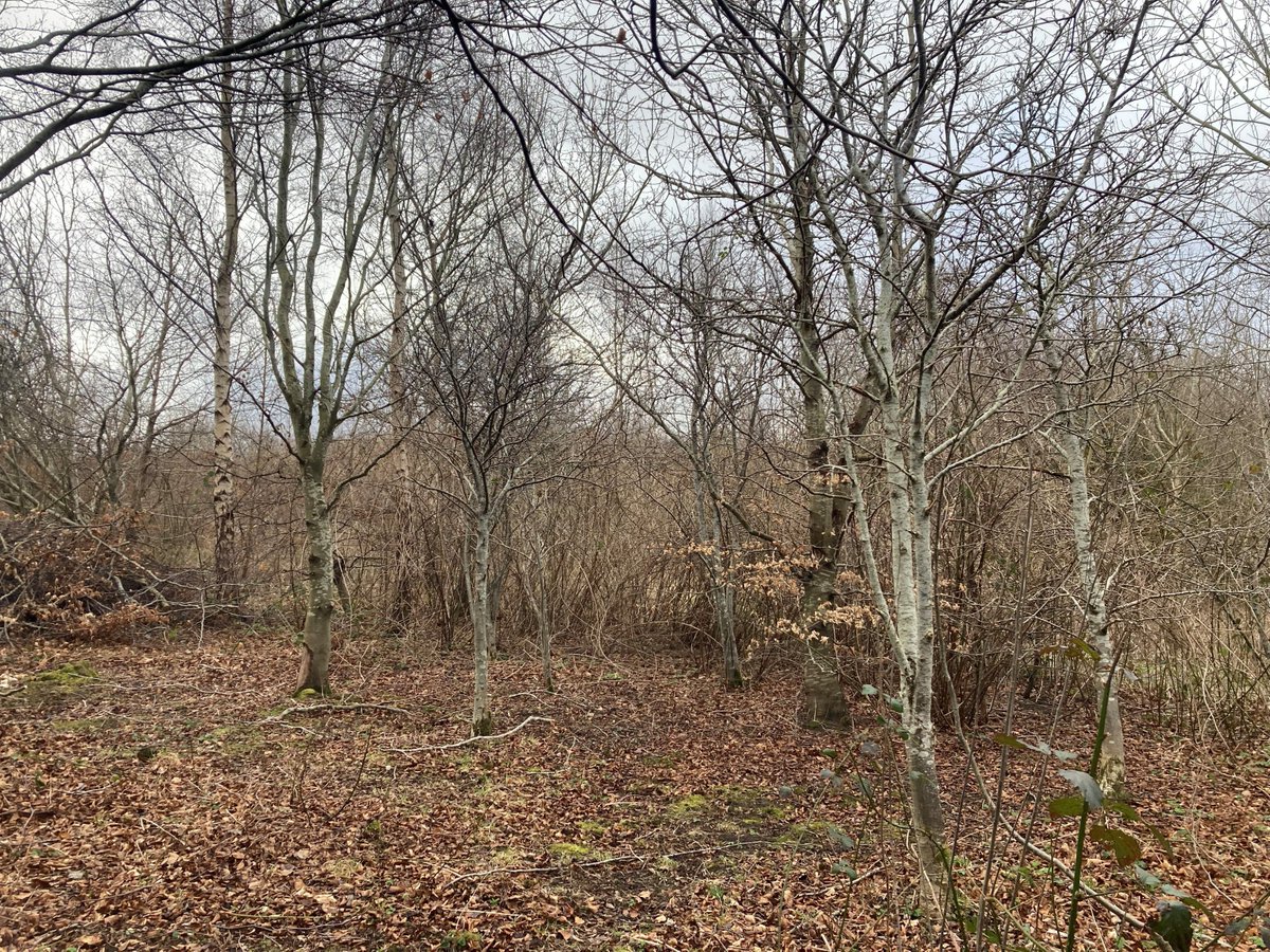 Edinburgh & Lothians Greenspace Trust tweet media