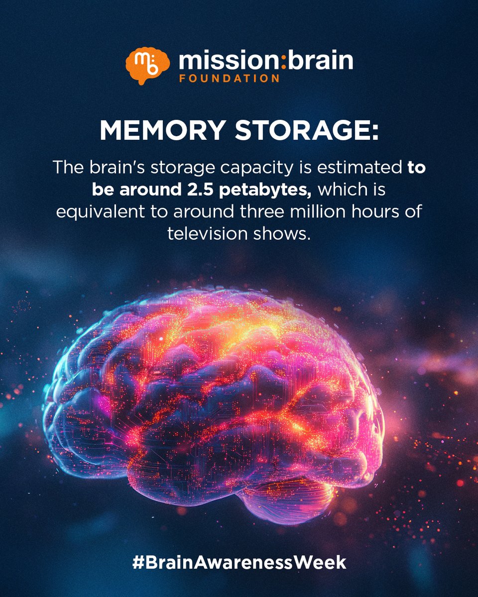 Another brain fact for Brain Awareness Week! 🧠🔬

Your brain’s memory capacity is 2.5 petabytes—that’s like storing 3 million hours of TV! 🤯 Imagine binge-watching your entire memory bank. 

(Source: The Journal of Neuroscience)