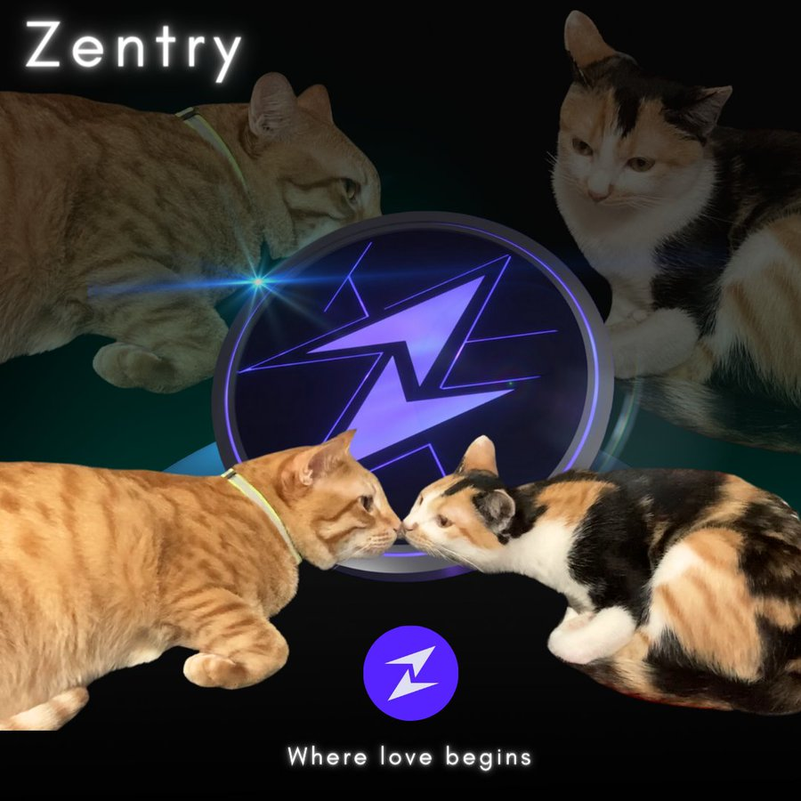 Ivannin1's tweet photo. Zentry is where $ZENT cats meet and fall in love.. It's 'Where Love Begins' 💕 #Zentry #ZentryMeme
@ZentryHQ
📷 https://t.co/6UGCFLuswI