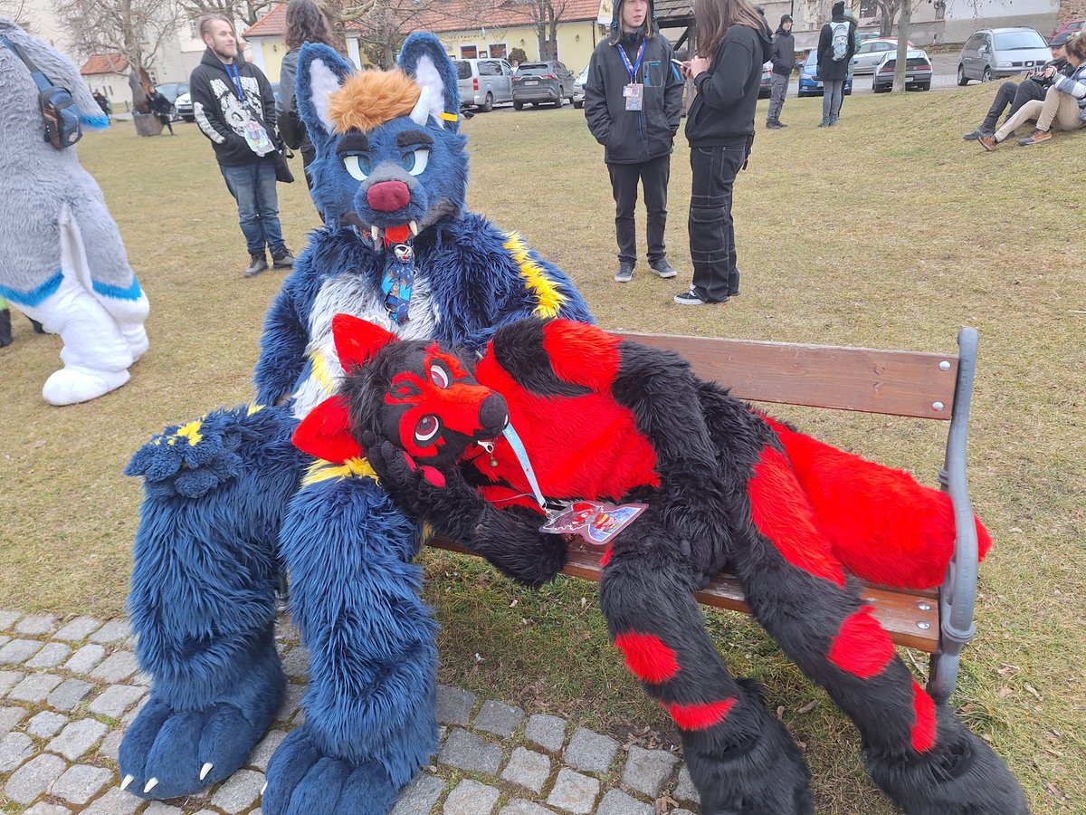 Shhh let the fox rest for a moment.

🔵🐺 <a href="/StejfS/">Štejf</a> 
🔴🦊 <a href="/IcanFox/">IcanFox</a>