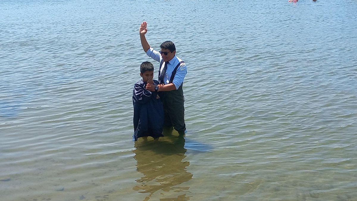 David Silverio tweet media